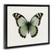 Stupell Industries Green Symmetrical Butterfly Framed Floater Canvas Wall Art Design by Elizabeth Medley